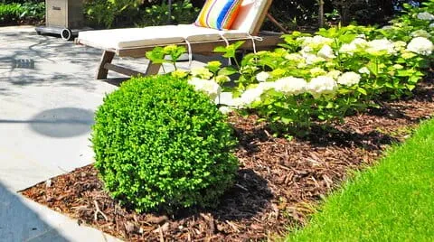 Shredded bark mulch applied around foundation plantings in Post Falls, Idaho