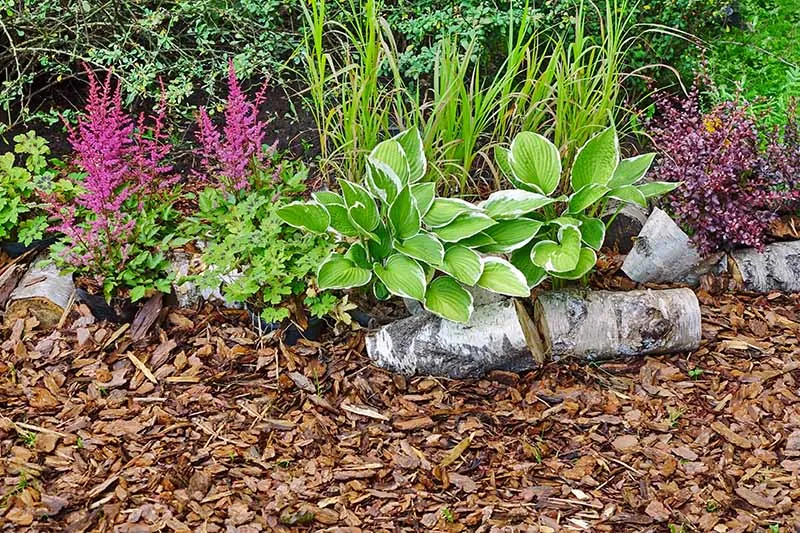 River rock mulch alternative in a xeriscape bed design in Kootenai County