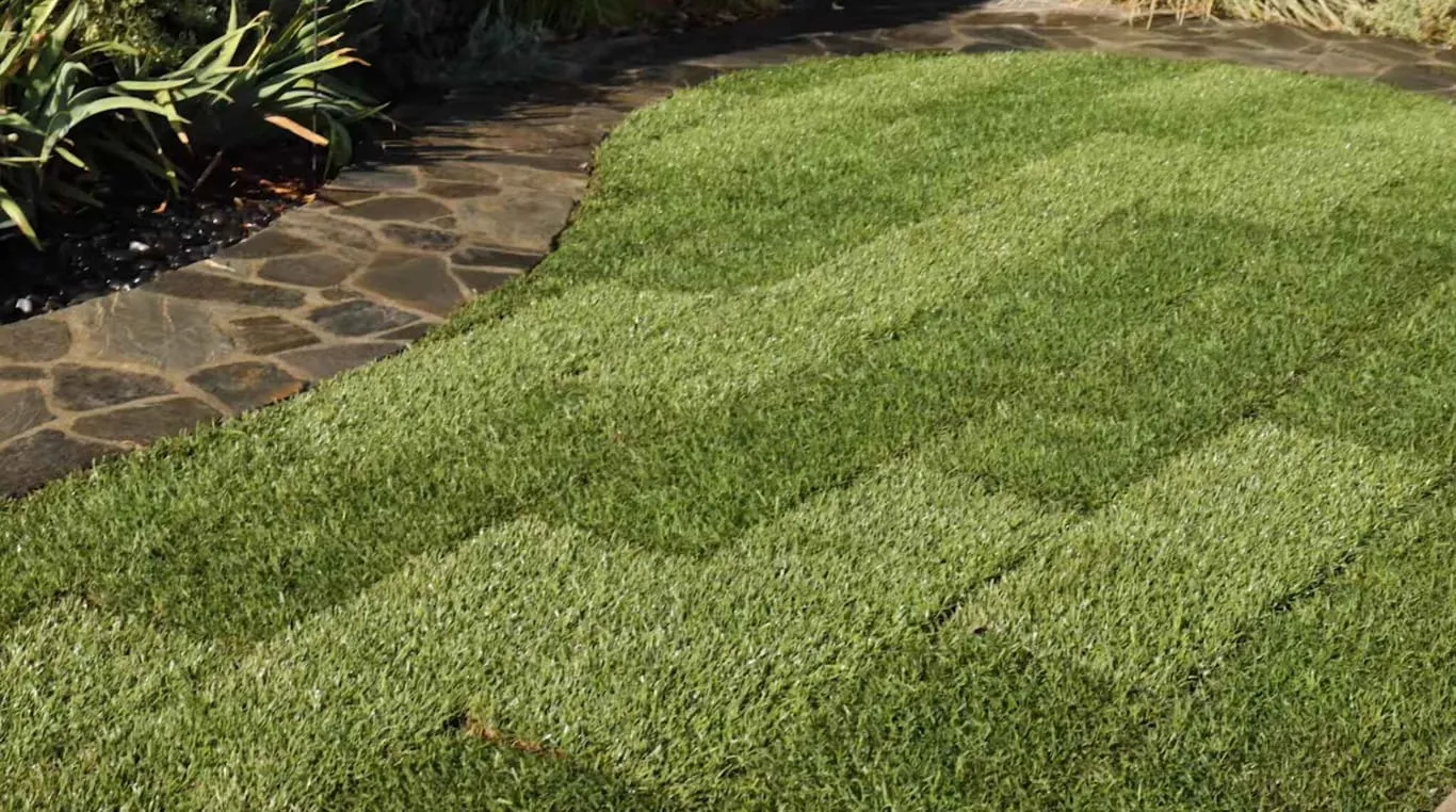 Sod hydroseeding hero image — Post Falls, Coeur d'Alene, North Idaho