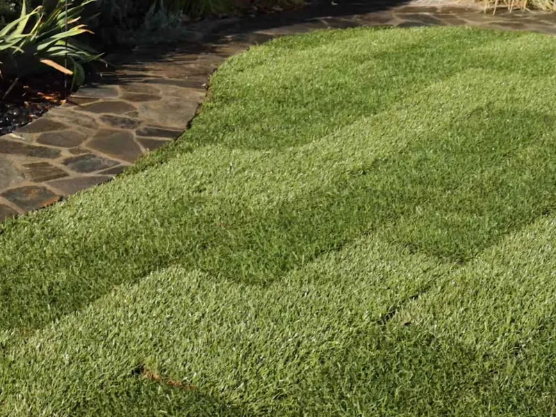 Sod hydroseeding hero image — Post Falls, Coeur d'Alene, North Idaho