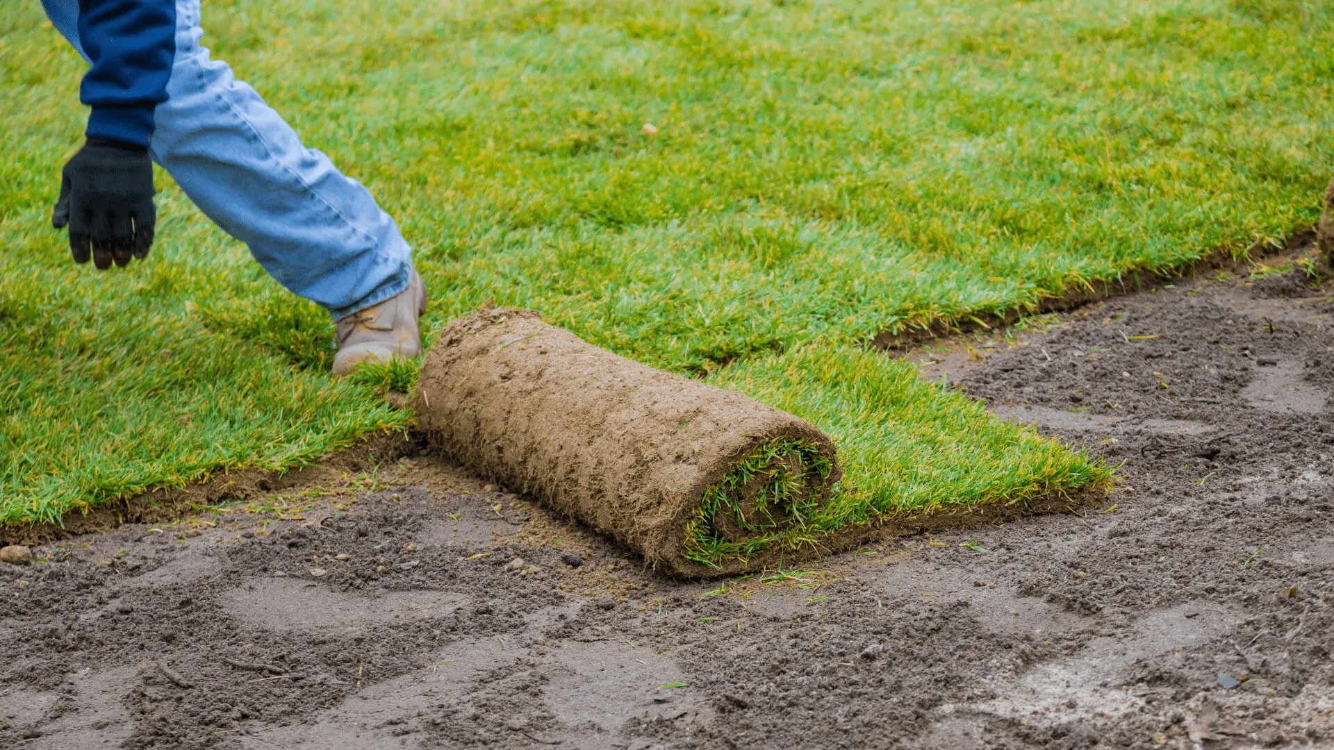 Sod hydroseeding gallery image 1 — Post Falls, Coeur d'Alene, North Idaho