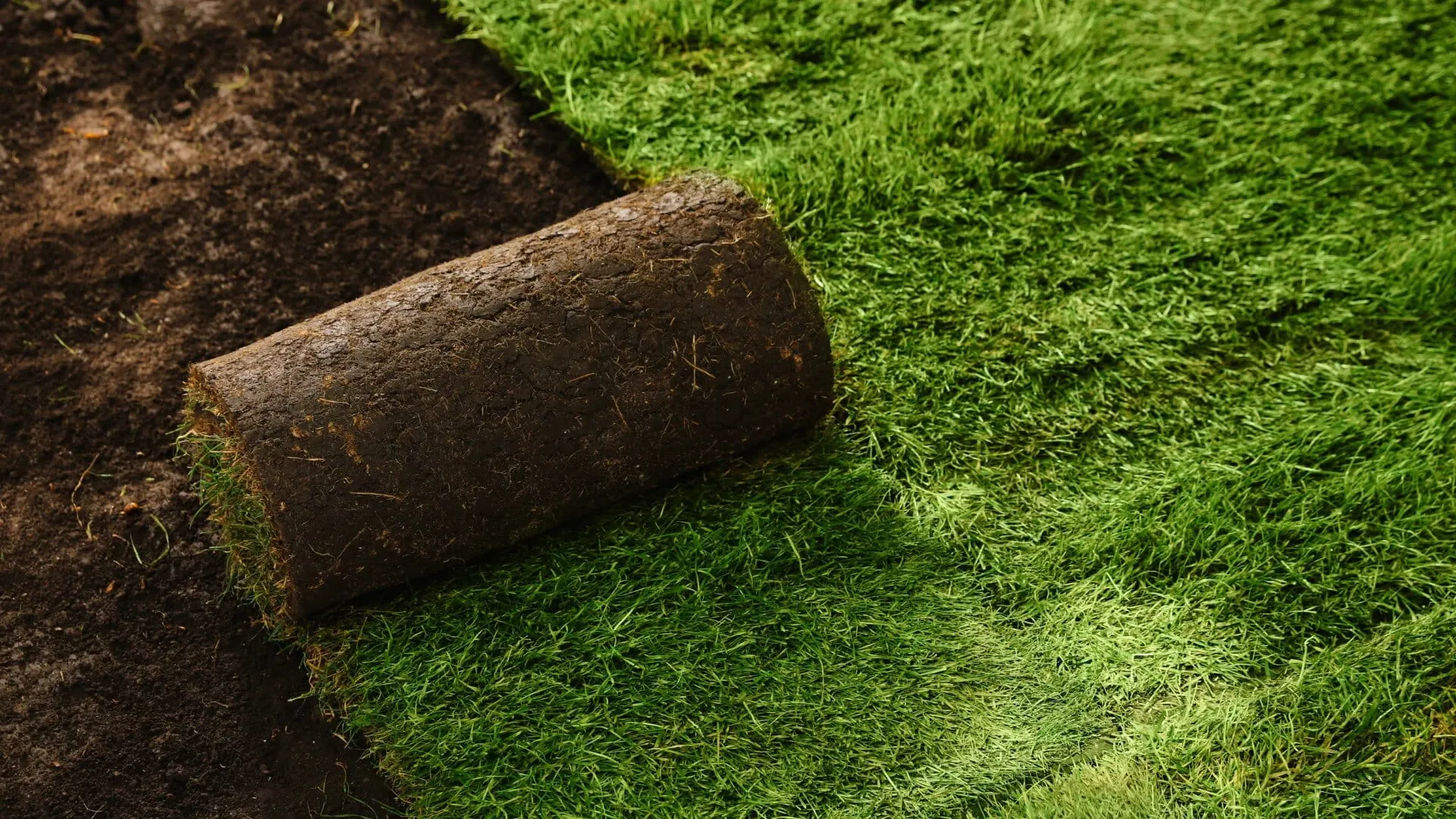 Sod hydroseeding gallery image 2 — Post Falls, Coeur d'Alene, North Idaho