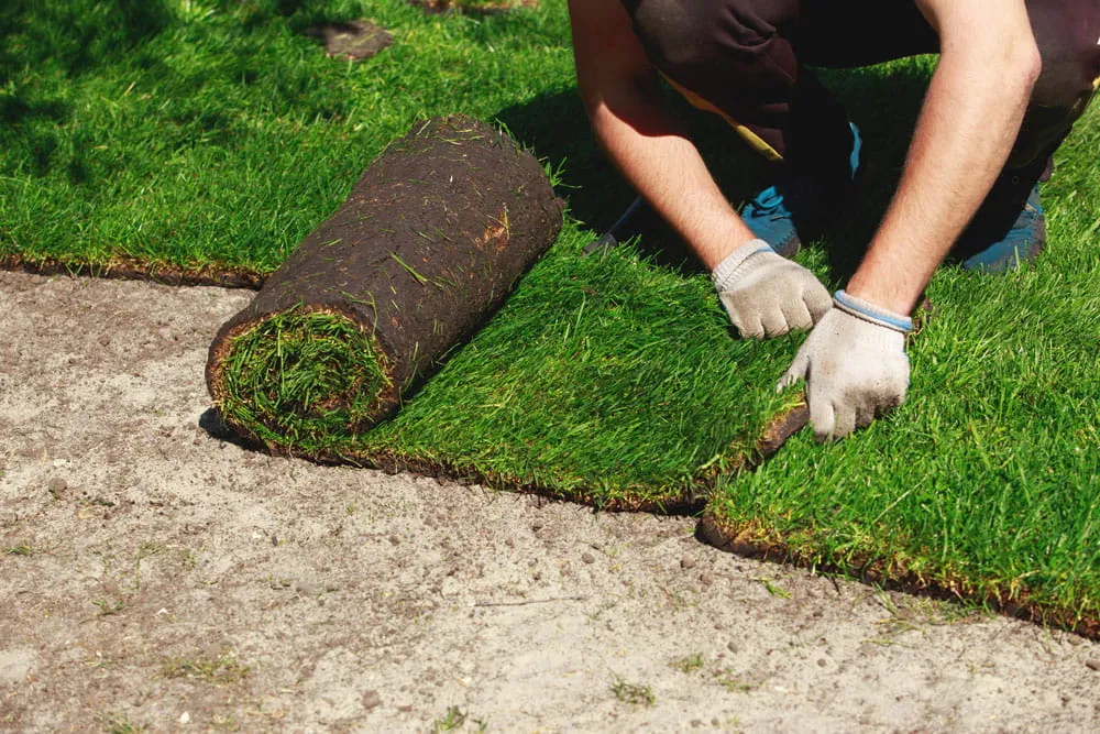 Sod hydroseeding gallery image 3 — Post Falls, Coeur d'Alene, North Idaho